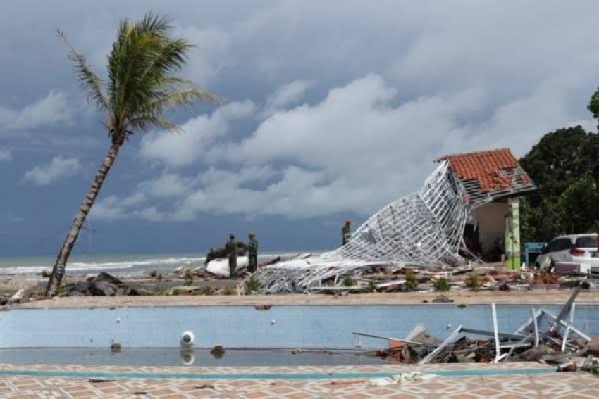 99images (97).jpeg.jpeg